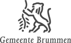 Gemeente Brummen